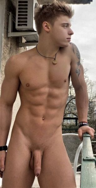 erect cock dick