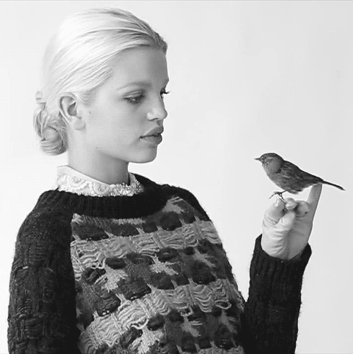 daphne groeneveld wallpapers