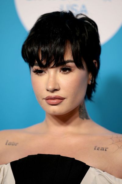 demi lovato hands