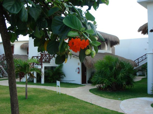 quintana roo