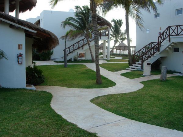 grand oasis palm