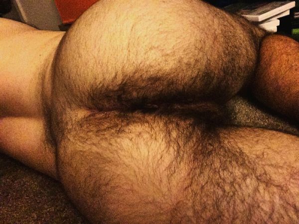 best hairy pussies