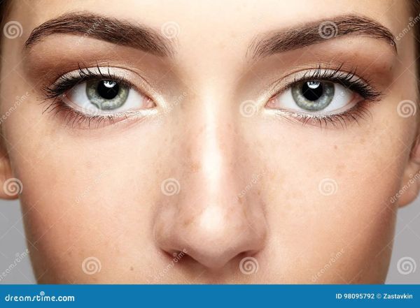 free clip art