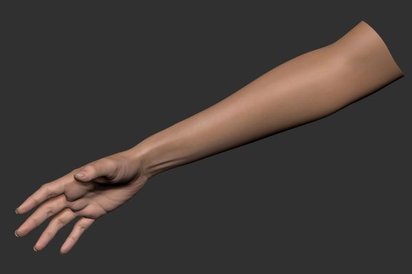 female arm sleeve