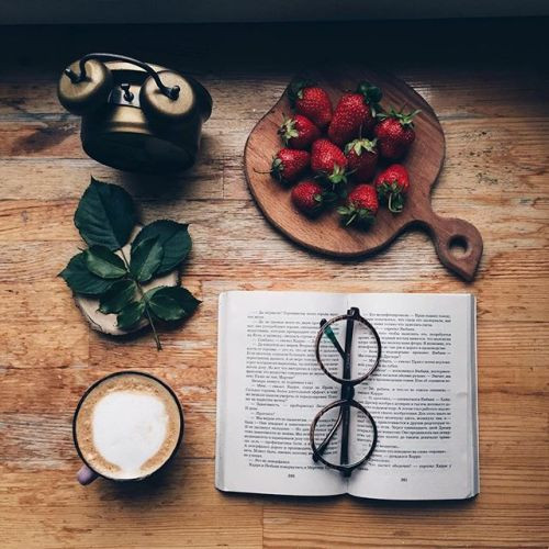 aesthetic flower wallpaper