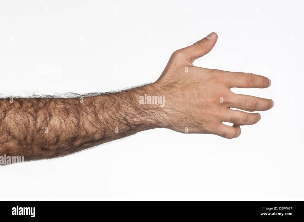 sharp hairs on arms