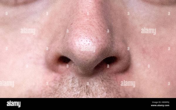 european nose
