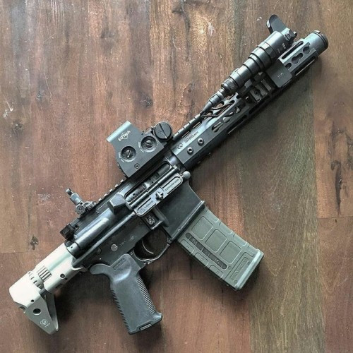 cane gun
