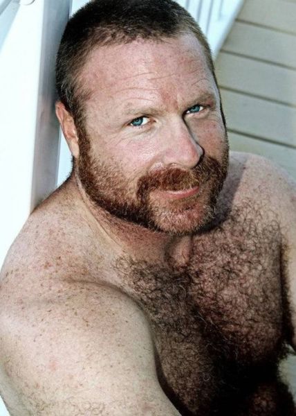 gay muscle