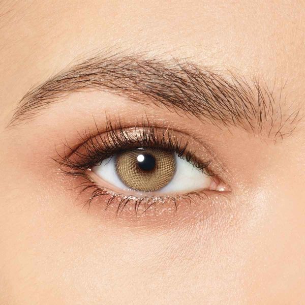 honey bee eyes