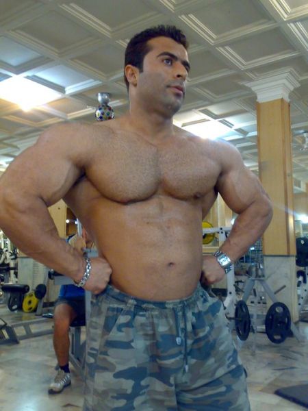 arms