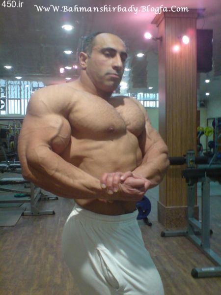 alpha iranian men