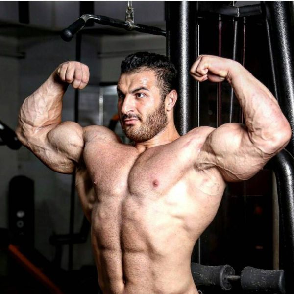 iranian powerlifters