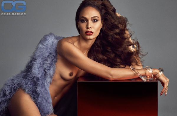 v magazine joan smalls