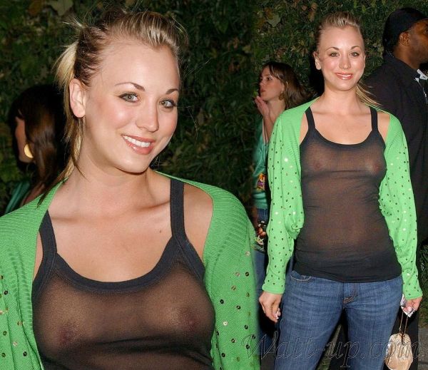 kaley cuoco closet