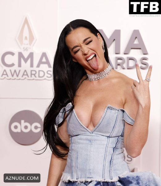 katy perry beach hawaii