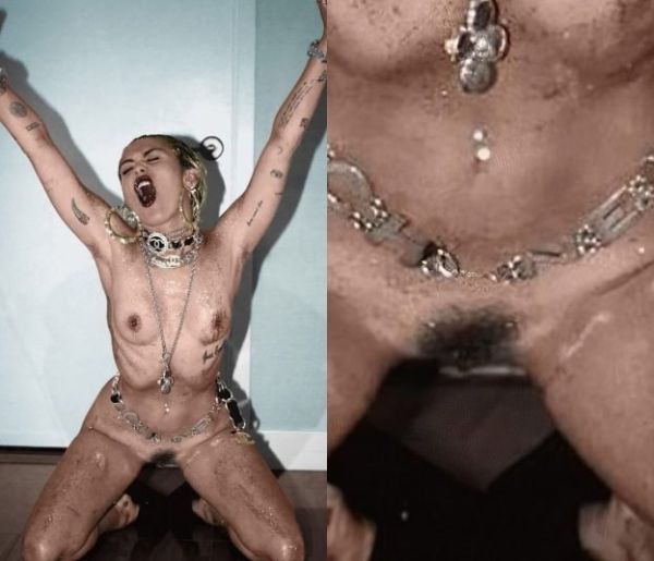 miley cyrus hamster