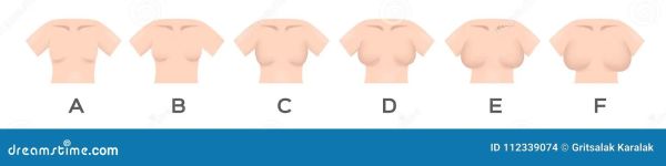 bra size chart india