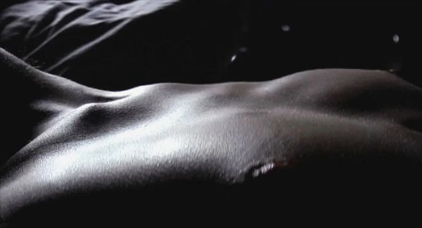 margo steely