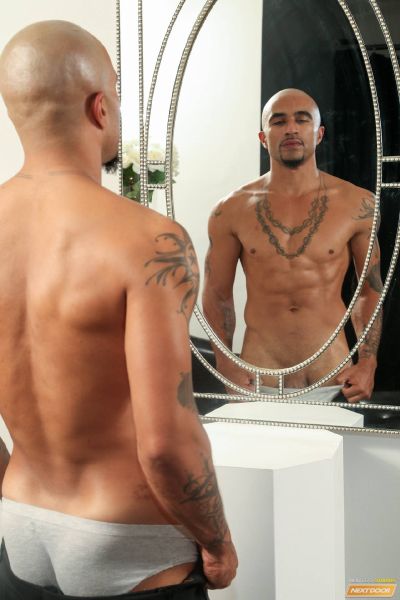 gay hairy muscle