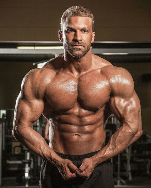 bodybuilding biceps