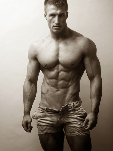 muscle model kit
