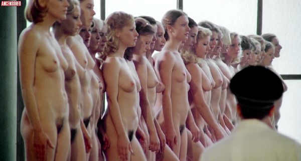 sex gif