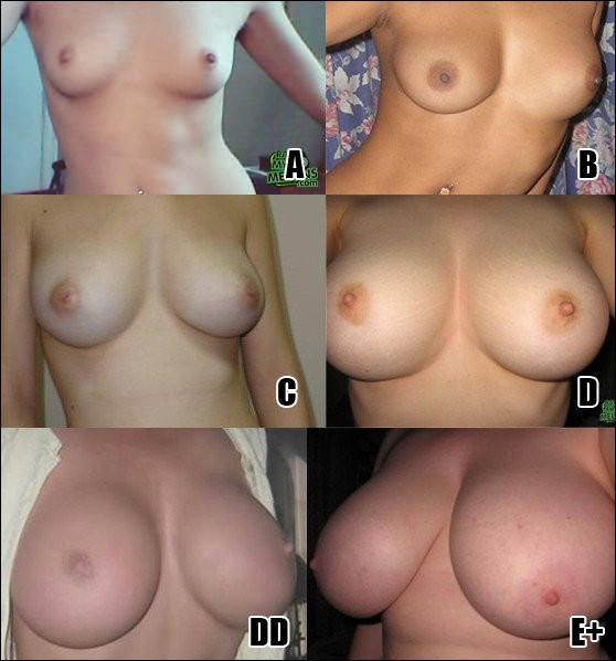 cup size chart