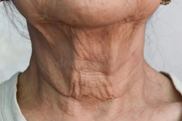 women round neck lines