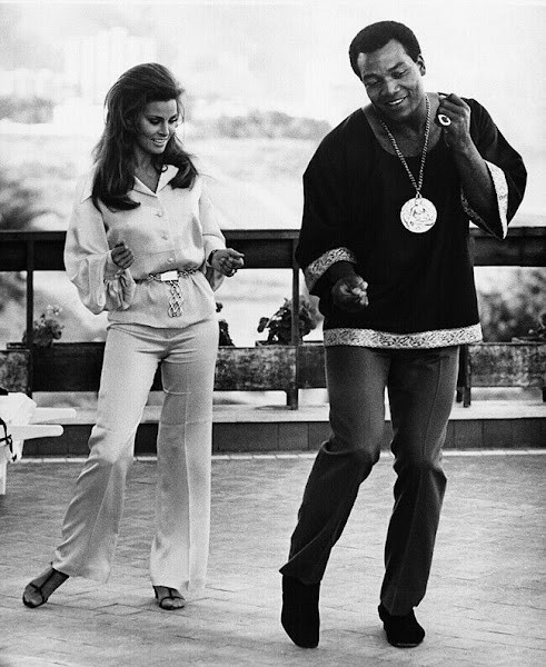 raquel welch mchale's navy