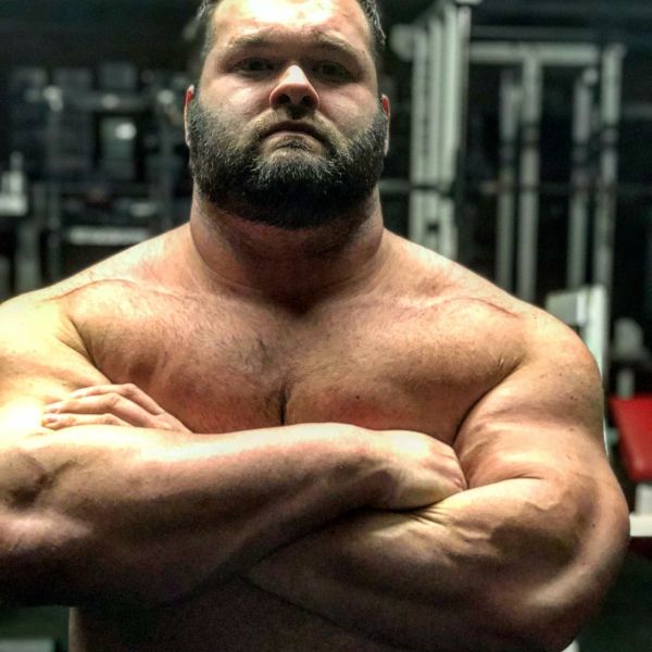 bears chest hair gallery