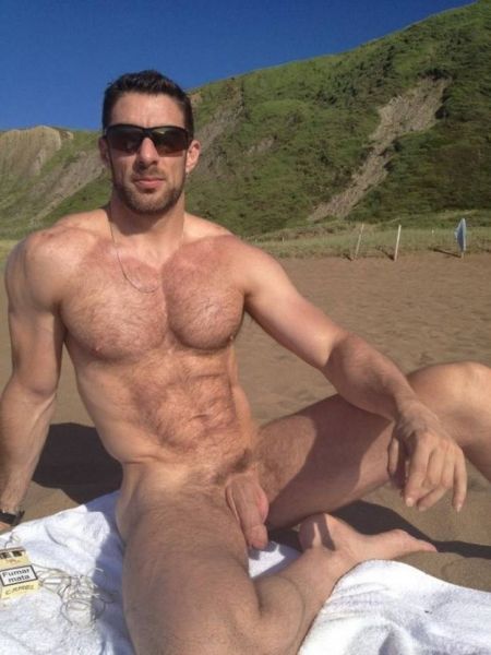 erect penis