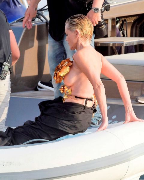 sharon stone famous movie