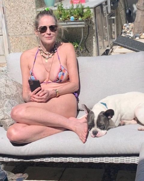 sharon stone controversy