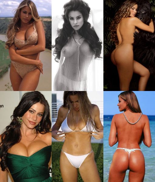 sofia vergara buns