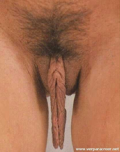 cute vagina