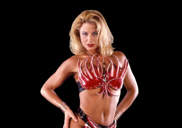 sunny wwe big poster