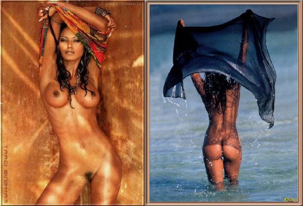 traci bingham ice