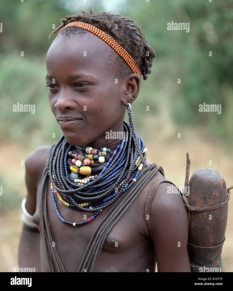 arbore trime