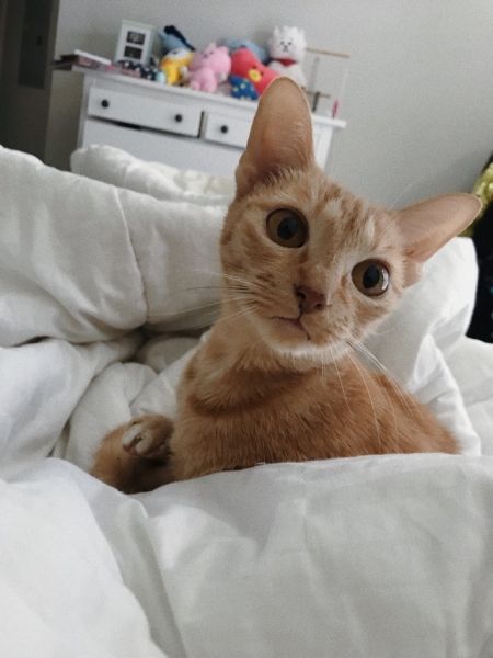 cute cuddling