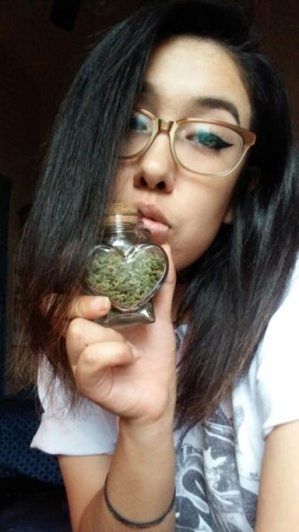 the stoner's art smoker