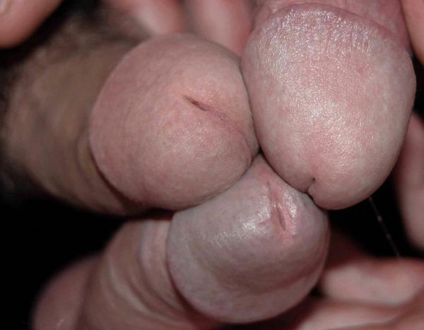 cum face