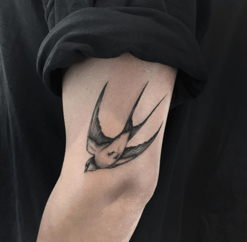 symbol.png