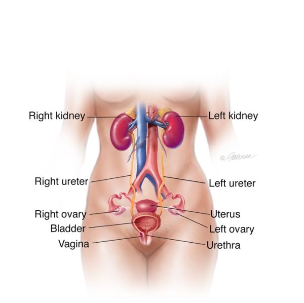 urethral polyp symptoms
