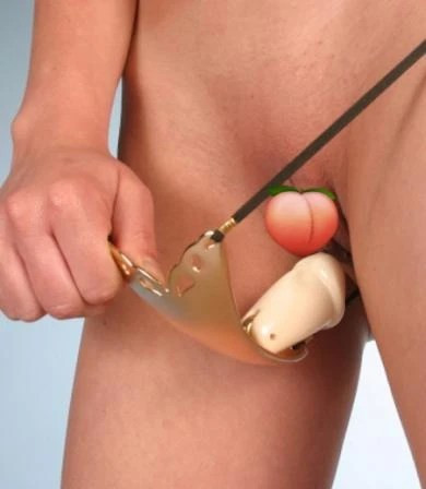 penis inside