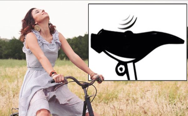 bike with no seat