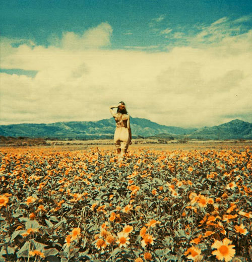 aesthetic flower wallpaper