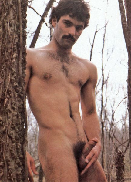 vintage gay porn star steve regis