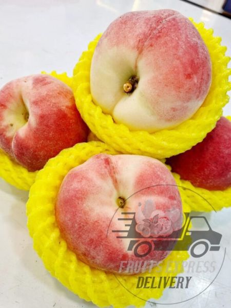 apricot