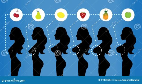 cup size vs bust size